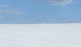 娱乐吃瓜洲,揭秘娱乐圈背后的那些事儿