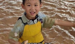 樊小慧视频爆料丈夫离婚,离婚背后惊人内幕曝光